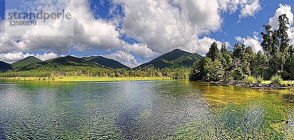 Rotoroa-See  subtropische Vegetation  Nelson Lakes National Park  Tasmanische Region  Südland  Neuseeland  Ozeanien