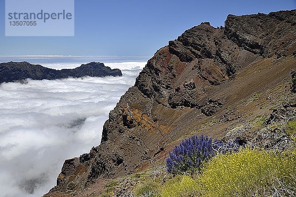 Blick in die Caldera de Taburiente  Roque de los Muchachos  Nationalpark Caldera de Taburiente  Kanarische Inseln  La Palma  Spanien  Europa