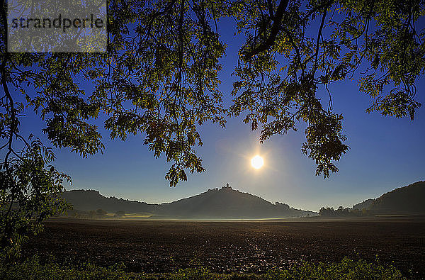 Veste Wachsenburg am Morgen  Wandersleben  Thüringen  Deutschland  Europa