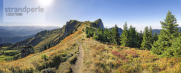 Panorama am Brauneckweg mit dem Vorderen Kirchstein  Brauneck  Lenggries  Oberbayern  Bayern  Deutschland  Europa