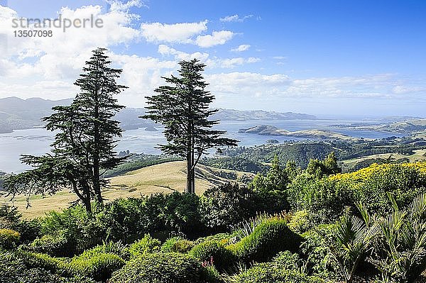 Blick von der Burg Larnach über die Halbinsel Otago  Südinsel  Neuseeland  Ozeanien