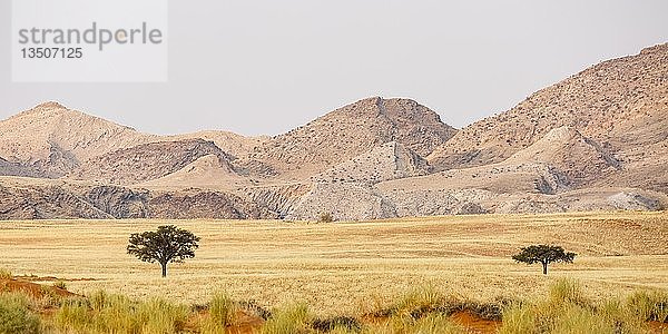 Landschaft im Naturschutzgebiet Tsondab Valley  Panorama  Namib-Naukluft-Nationalpark  Namibia  Afrika