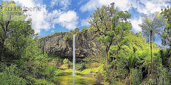 Wand aus Säulenbasalt mit Wasserfall Bridal Veil Falls  tropische Vegetation  Pakoka River  Makomako  Waikato  Nordinsel  Neuseeland  Ozeanien