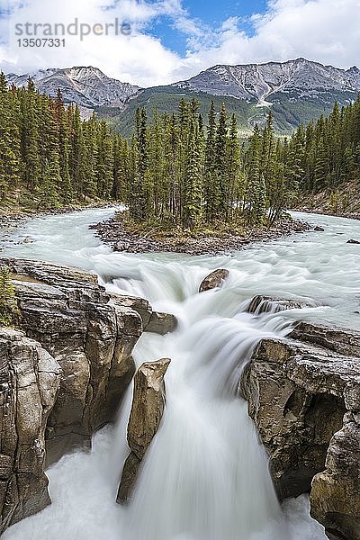 Wasserfall Sunwapta Falls  am Icefields Parkway  Sunwapta River  Jasper National Park  Rocky Mountains  Alberta  Kanada  Nordamerika