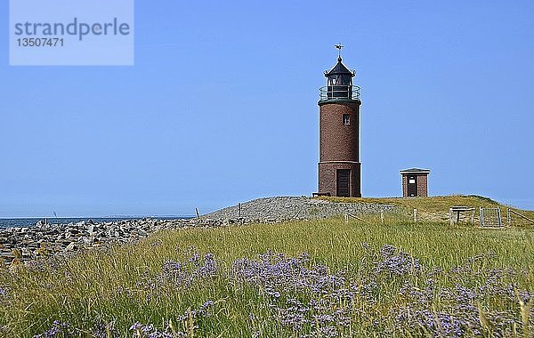 Leuchtturm Nordermarsch auf der Hallig Langeness  Nordsee  Schleswig-Holstein  Deutschland  Europa