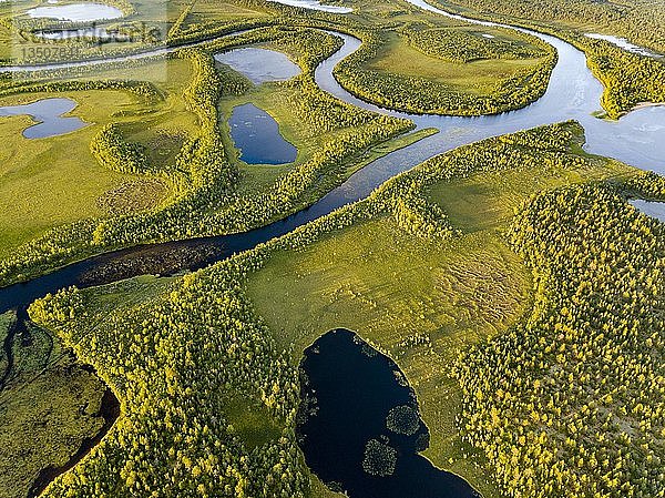 Drohnenansicht  Luftaufnahme des VuontisjÃ¤rvi  kleine Seen und MÃ?ndungen  Flussschleifen im borealen arktischen Wald mit Koniferen  Kiefern (Pinus) Karesuando  Norrbottens lÃ¤n  Schweden  Europa