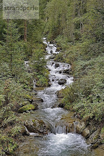 Gartlbach  Bergbach bei Großkirchheim  Mölltal  Nationalpark Hohe Tauern  Kärnten  Österreich  Europa