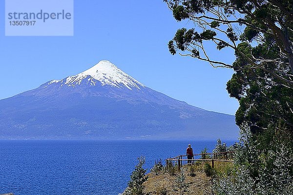 Vulkan Osorno mit Schneekappe am Lago Llanquihue  RegiÃ³n de los Lagos  Chile  Südamerika