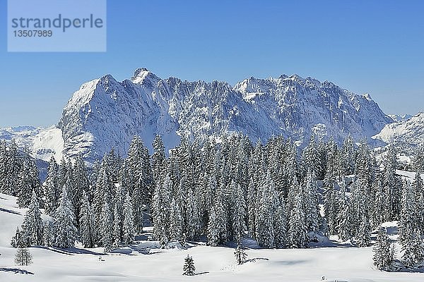 Blick vom Fellhorn auf den Wilden Kaiser im Winter  Reit im Winkl  Bayern  Oberbayern  Deutschland  Europa