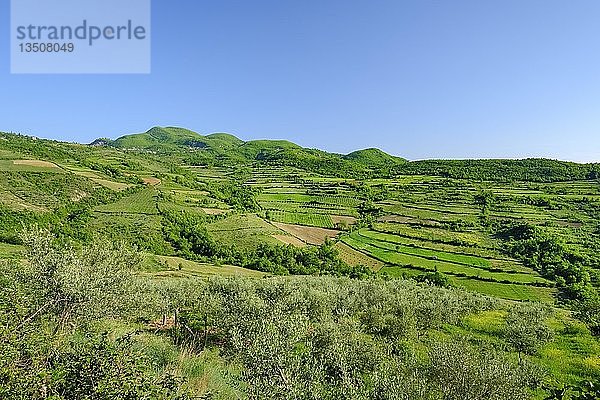 Shpati-Gebirge um Shelcan  in der Nähe von Elbasan  Qark Elbasan  Albanien  Europa