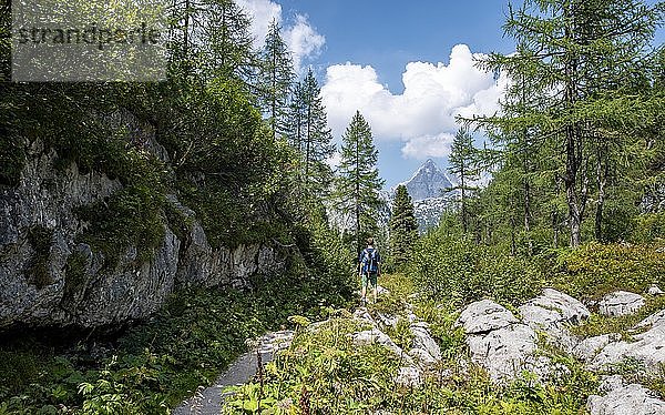 Wanderer auf Wanderweg zum KÃ¤rlingerhaus  hinter Watzmann  KÃ¶nigssee  Nationalpark Berchtesgaden  Berchtesgadener Land  Oberbayern  Bayern  Deutschland  Europa