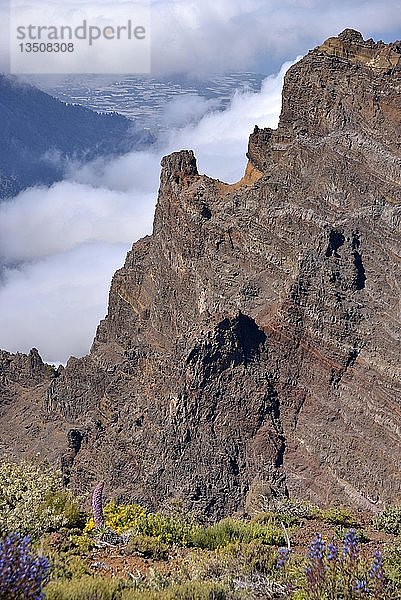 Blick in die Caldera de Taburiente  Roque de los Muchachos  Nationalpark Caldera de Taburiente  Kanarische Inseln  La Palma  Spanien  Europa