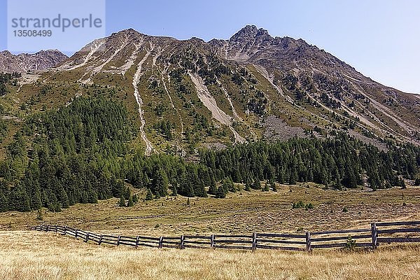 Biotop Plamorter Moos  Moor  Reschenpass  Vinschgau  Südtirol  Italien  Europa