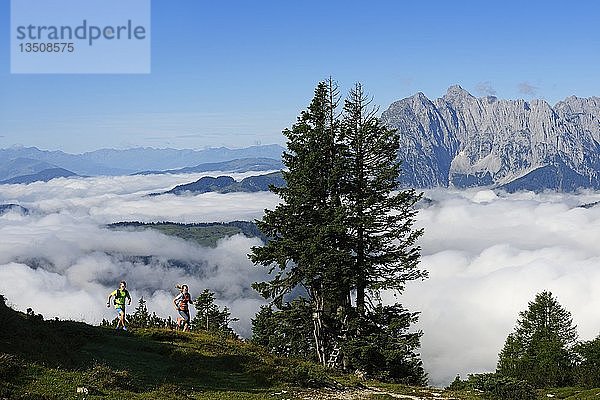 Wanderer  Trailrunning auf der Eggenalm  hinter dem Wilden Kaiser  Reit im Winkl  Oberbayern  Bayern  Deutschland  Europa