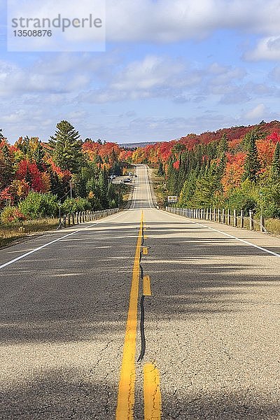 Straße durch Herbstwald  Algonquin Provincial Park  Indian Summer  Ontario  Kanada  Nordamerika