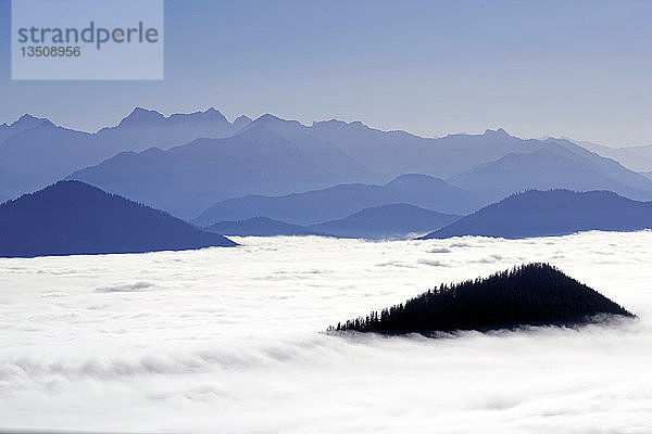 Blick vom Brauneck auf das Karwendel im Nebel  Lenggries  Oberbayern  Bayern  Deutschland  Europa