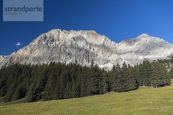 Blick auf das Wetterwandeck  Zugspitzmassiv  Ehrwalder Alm  Ehrwald  Tirol  Österreich  Europa