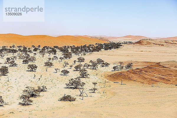 Luftaufnahme  Trockenfluss Tsondab  Dünenlandschaft  Namib-Naukluft-Nationalpark  Namibia  Afrika