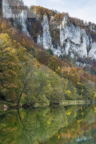 Zerklüftete Kalksteinfelsen mit Laubwald in herbstlichen Farben im Donautal  Baden-Württemberg  Deutschland  Europa