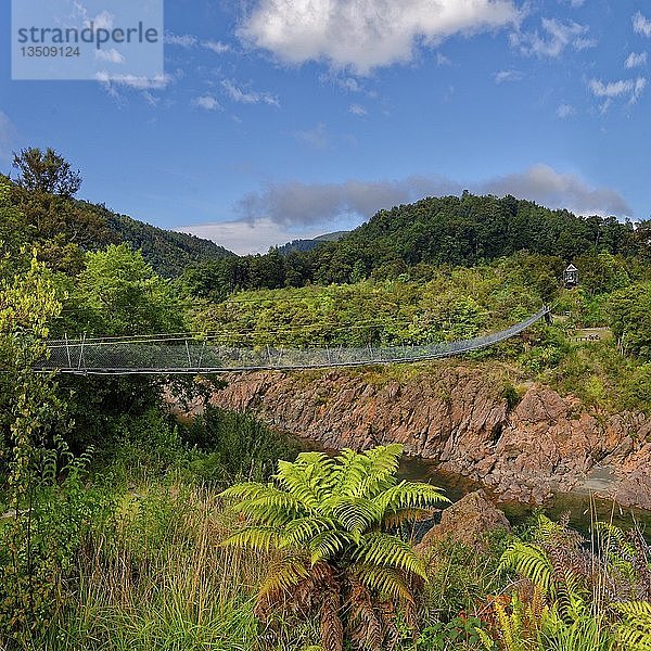 Buller Gorge Swing Bridge über den Buller River  Tasman Region  Southland  Neuseeland  Ozeanien