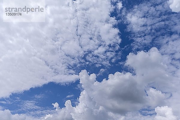 Stratocumulus-Wolke (Stratocumulus)  Bayern  Deutschland  Europa