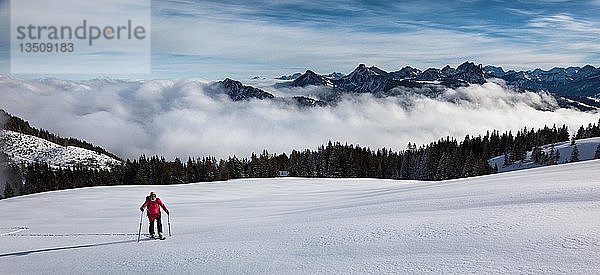 Skitour  SkitourenfÃ?hrer im Aufstieg  in unberÃ?hrtem Skigebiet  dahinter Nebeldecke und die Tannheimer Berge  Wertacher HÃ¶rnle  Unterjoch  Landkreis OberallgÃ¤u  Bayern  Deutschland  Europa