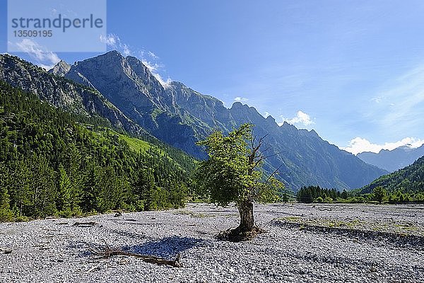 Berg Maja Lugut Ujit  Valbonatal  Valbona-Nationalpark  Albanische Alpen  Prokletije  Qar Kukes  Albanien  Europa