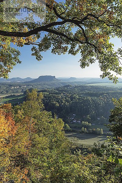 Panoramablick von der Bastei zum Lilienstein  Elbsandsteingebirge  Nationalpark Sächsische Schweiz  Sachsen  Deutschland  Europa