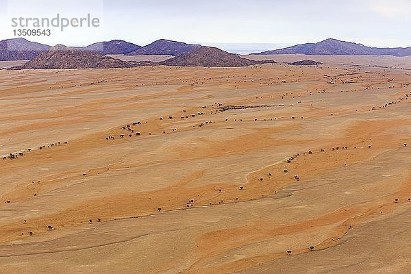 Luftaufnahme  Wüstenlandschaft  Trockenflüsse am Rande der Namib-Wüste  Namib-Naukluft-Nationalpark  Erongo-Region  Namibia  Afrika