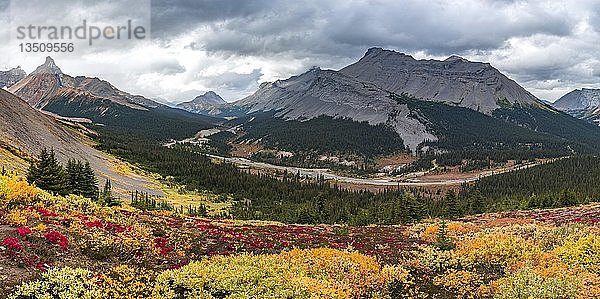 Blick auf Mount Athabasca und Hilda Peak im Herbst  Parker Ridge  Jasper National Park National Park  Kanadische Rocky Mountains  Alberta  Kanada  Nordamerika