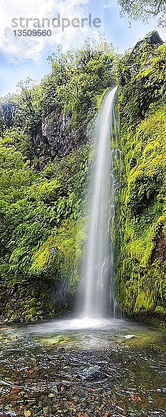18m hoher Wasserfall Dawson Falls inmitten eines tropischen Regenwaldes  Dawson Falls  Mount Taranaki oder Mount Egmont  Whanganui National Park  Nordinsel  Neuseeland  Ozeanien
