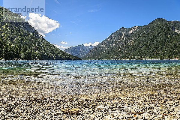 Plansee  Blick vom Ostufer  Ufer  türkisfarbenes Wasser  Bergsee  Berglandschaft  Tiroler Alpen  Reutte  Tirol  Österreich  Europa