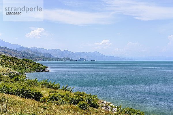 Südufer des Skadar-Sees  Shkodra-See  Liqeni i ShkodrÃ s  bei Shkodra  ShkodÃ r  Qark Shkodra  Albanien  Europa