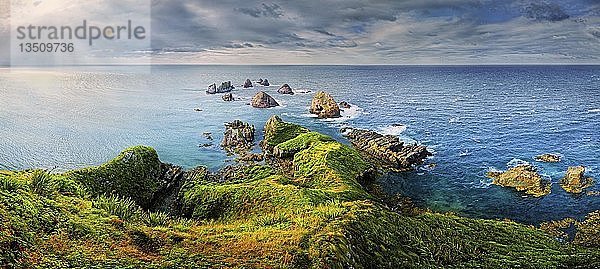 Bewachsene Landzunge  Nugget Point  sonnenbeschienene Felsen  die aus der Tasmanischen See herausragen  Kaka Point  The Catlins  Südinsel  Neuseeland  Ozeanien