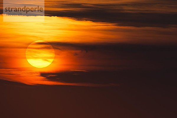 Glühende Sonne  Sonnenuntergang mit Wolken  Abendhimmel  Deutschland  Europa
