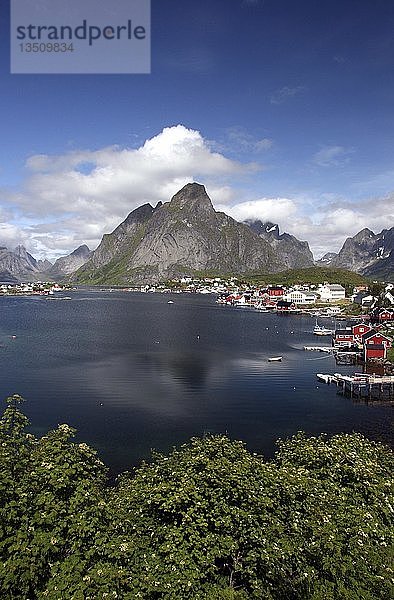 Reine  Lofoten  Norwegen  Skandinavien  Europa