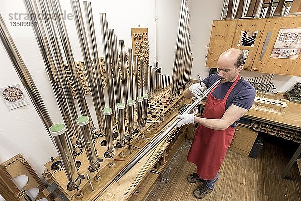 Orgelbauer  bei der Ausrichtung des Oberlabiums für die Intonation einer Orgelpfeife  Laberweinting  Bayern  Deutschland  Europa