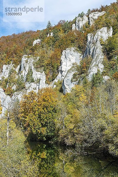 Zerklüftete Kalksteinfelsen mit einem Laubwald in herbstlichen Farben  Donautal  Baden-Württemberg  Deutschland  Europa