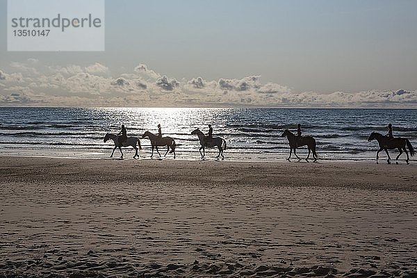 Gruppe von Reitern auf Pferden im Gegenlicht am Strand  Gurp Plage  Grayan-et-l`Hopital  Aquitaine  Gironde  Frankreich  Europa