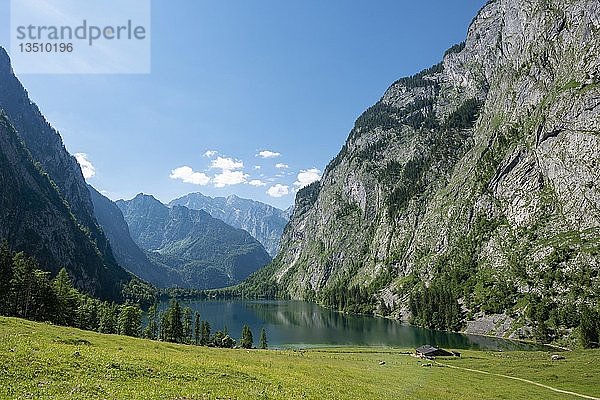 Blick über den Obersee mit Fischunkelalm  hinter dem Watzmann  Nationalpark Berchtesgaden  Berchtesgadener Alpen  Berchtesgadener Land  Bayern  Deutschland  Europa