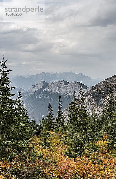 Markante Bergkette  Ashlar Ridge  im Herbst  Miette Hotsprings  Jasper National Park  British Columbia  Kanada  Nordamerika
