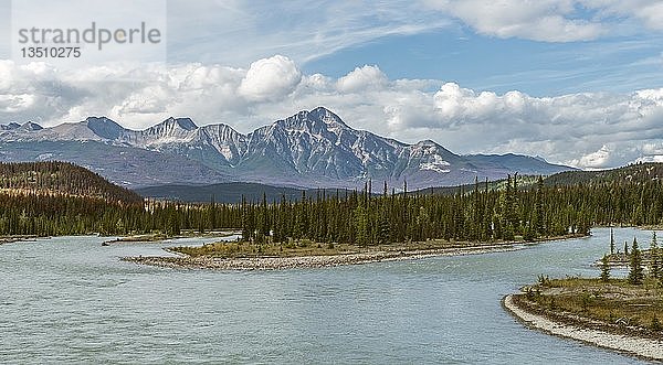 Blick auf weites Tal mit Fluss  Athabasca River  hintere Berge  Icefields Parkway  Jasper National Park  Alberta  Kanada  Nordamerika