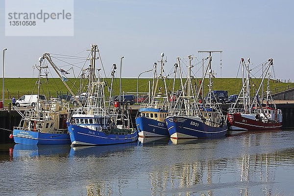 Fischerboote im Neuen Meldorfer Hafen  Meldorf  Dithmarschen  Schleswig-Holstein  Deutschland  Europa