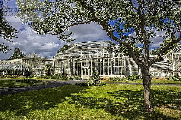 Gewächshaus von 1849 im botanischen Garten  auch Curvilinear Range genannt  Architekt Richard Turner  Dublin  Irland  Europa