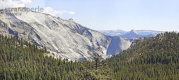 Plateau am Tioga-Pass  Tioga-Pass  Yosemite-Nationalpark  Kalifornien  Vereinigte Staaten  Nordamerika