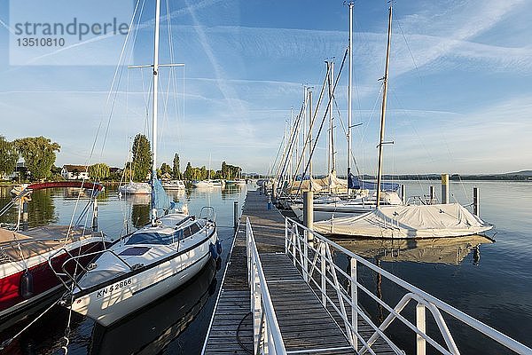 Yachthafen von Iznang  Baden-Württemberg  Deutschland  Europa