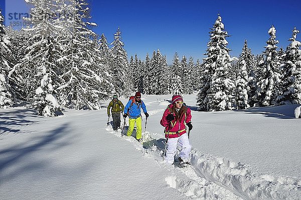 Schneeschuhtour zum Fellhorn  Reit im Winkl  Bayern  Deutschland  Europa