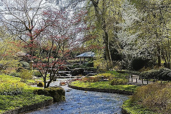 Japangarten  japanischer Garten  botanischer Garten  Augsburg  Schwaben  Bayern  Deutschland  Europa