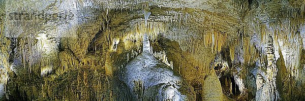 200°Panorama mit Stalaktiten und Stalaktiten in der Tropfsteinhöhle Aranui Cave  Waitomo Caves  Waikato  Nordinsel  Neuseeland  Ozeanien