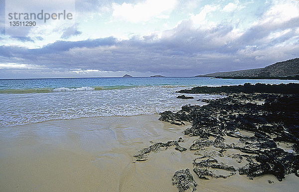 Insel Fernandina  Galapagos